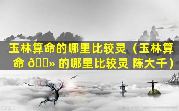 玉林算命的哪里比较灵（玉林算命 🌻 的哪里比较灵 陈大千）